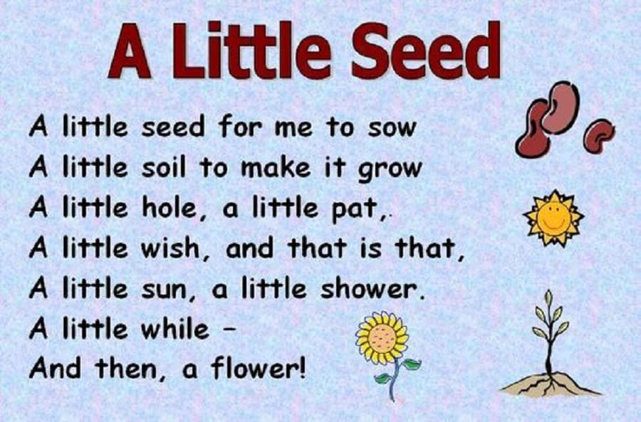 Học tiếng Anh qua các bài thơ